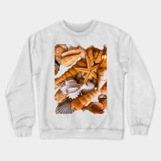 Summer Beach Seashells Travel Crewneck Sweatshirt